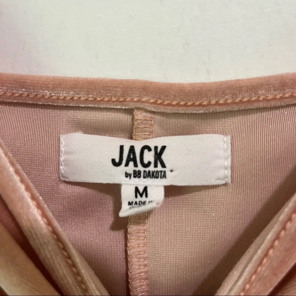 JACK by BB DAKOTA Velvet Mini Dress - Picture 5 of 12